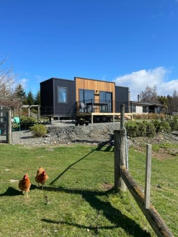 Boutique Tiny House - Te Anau Country Accommodation Bagian luar foto